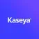 Kaseya VSA logo